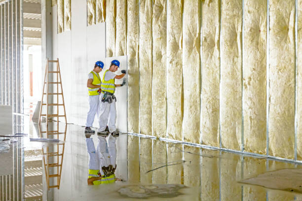 Insulation Inspection Services